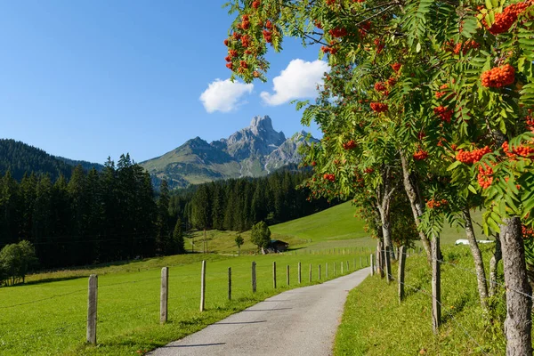 壮观的阿尔卑斯山景观 — 图库照片