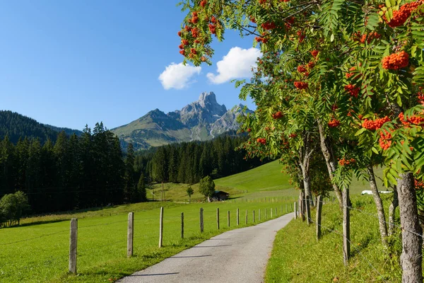 Vista Panoramica Maestosi Paesaggi Alpini — Foto Stock