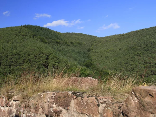 Hermosa Vista Del Paisaje Natural — Foto de Stock