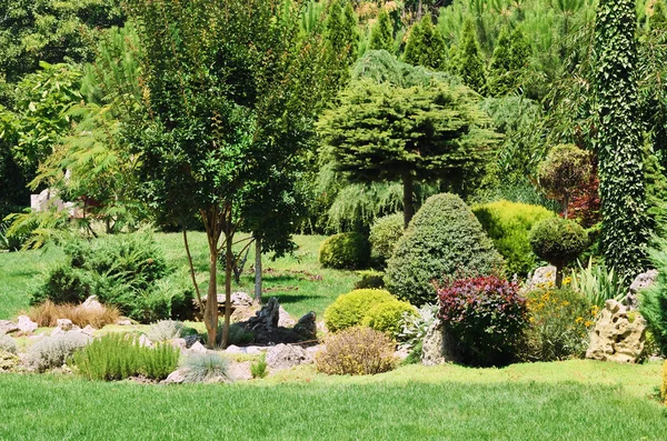 Varios Tipos Plantas Crecen Jardín — Foto de Stock