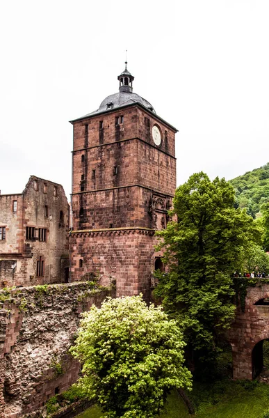 Heidelberg Město Řece Neckar Jihozápadním Německu — Stock fotografie