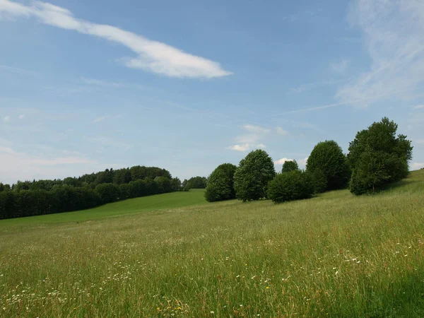 Bayern Ist Das Größte Deutsche Flächenland Das Rund Ein Fünftel — Stockfoto