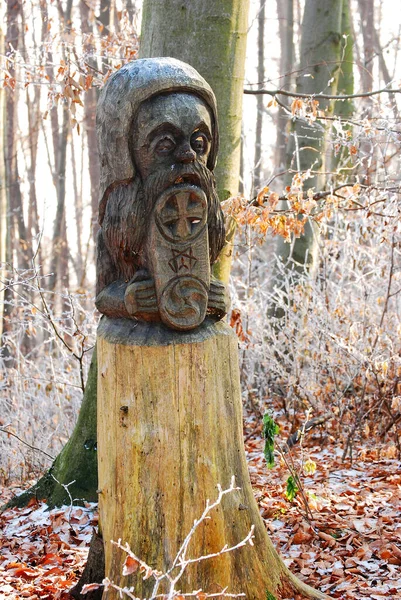 Gammal Trästaty Ett Lejon Parken — Stockfoto