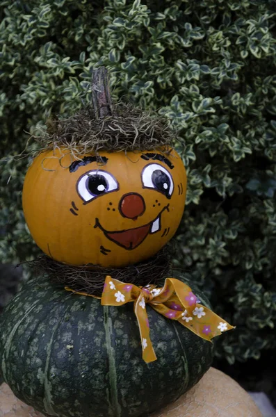 Orange Pumpkins Festival Halloween — Stock Photo, Image