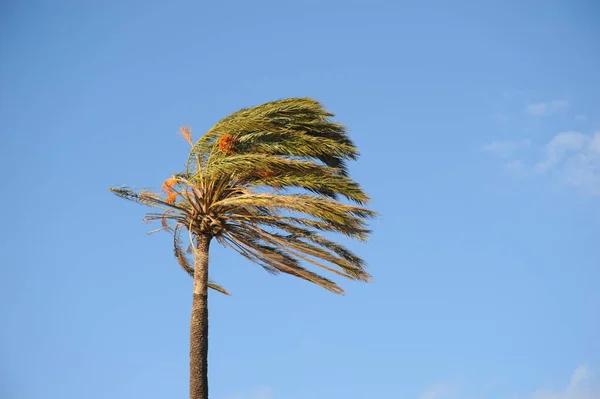 Spanien Ensam Strand — Stockfoto