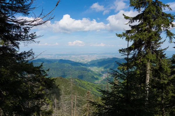 Kara Orman Daki Belchen Den Ren Vadisi Bakan — Stok fotoğraf