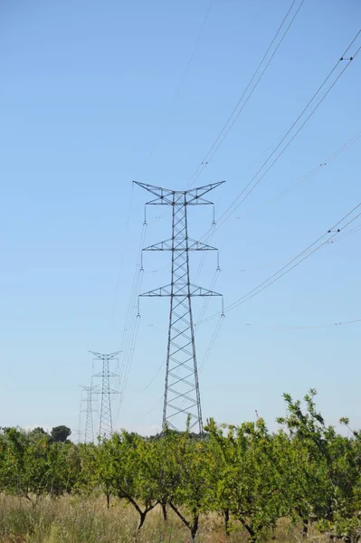 Líneas Eléctricas Alto Voltaje — Foto de Stock