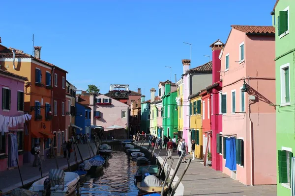 Isole Brulle Del Golfo Del Quarnero Croazia Sull Isola — Foto Stock