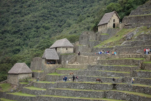 잉카의 마추픽추 — 스톡 사진