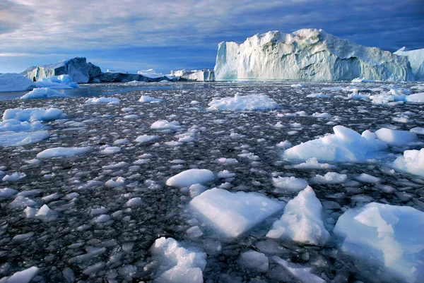 Icebergs Dans Baie Disco — Photo