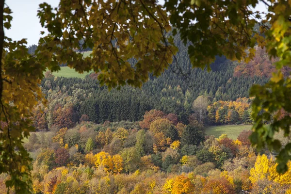 Vista Parque Outono Croatia — Fotografia de Stock