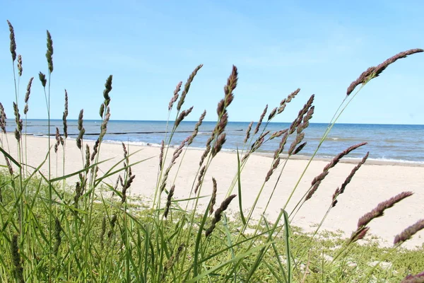 Vue Sur Mer Baltique — Photo