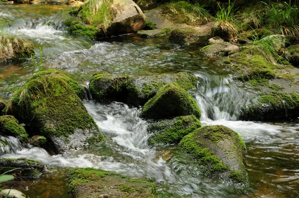 Hermosa Vista Naturaleza Escena — Foto de Stock