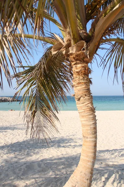 Strand Szene Natürliches Wasser — Stockfoto