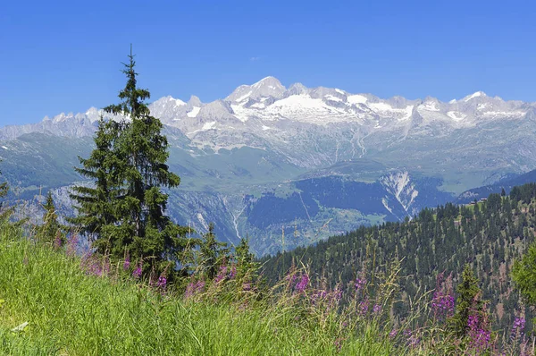 Uitzicht Van Simplon Naar Aletschhorn — Stockfoto