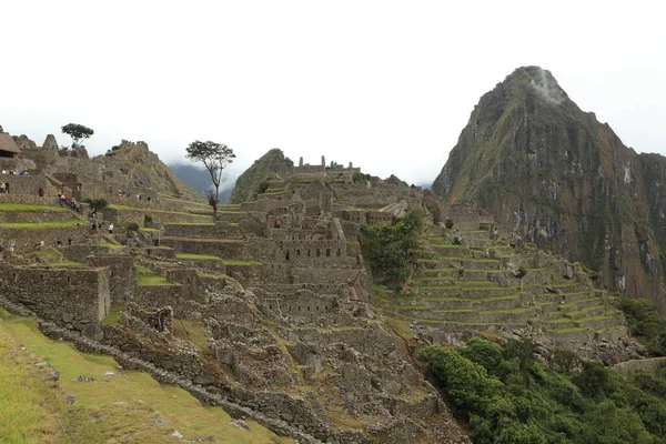 Machu Picchu Inca Πόλη Στα Σύννεφα — Φωτογραφία Αρχείου