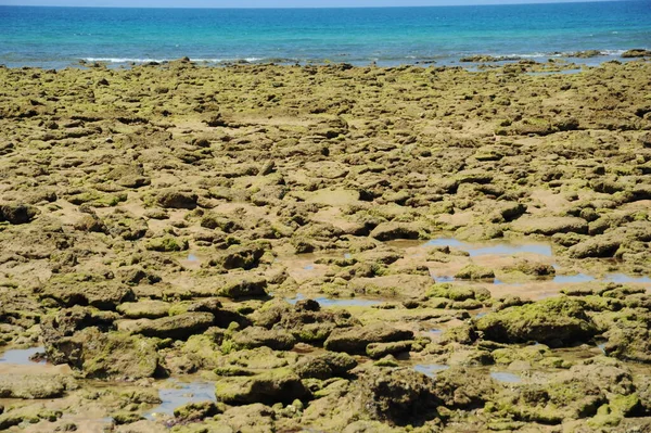 Playa Escena Agua Natural — Foto de Stock