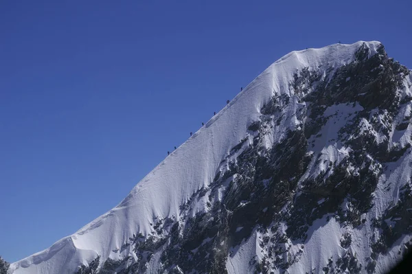 Bergsteiger Auf 4545M Höhe Wallis — Stockfoto