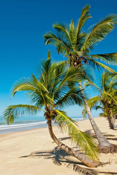 Praia Dos Sonhos Costa Bahia — Fotografia de Stock