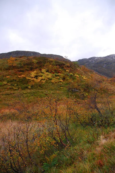 Norvège Sur Fond Paysage Naturel — Photo