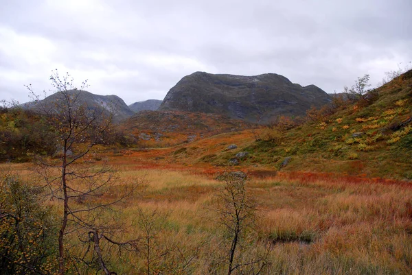 Norwegia Tle Krajobrazu — Zdjęcie stockowe