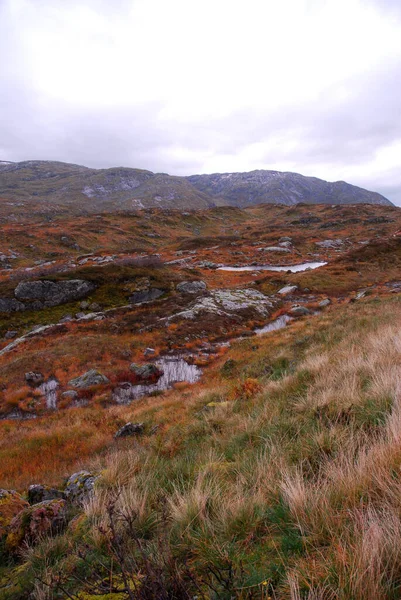 Norvegia Sfondo Paesaggio Naturale — Foto Stock