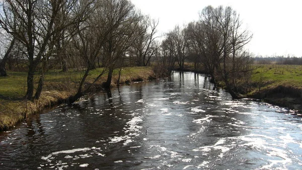 Afbeelding Van Overstroming Rivier Het Voorjaar — Stockfoto