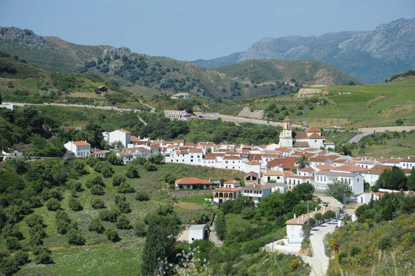 Spanien Andalusia Andaluz — Stockfoto