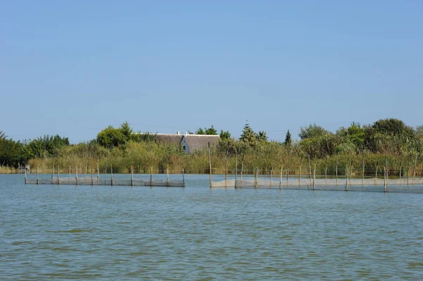 Spanya Valencia Doğa Rezervi Albufera — Stok fotoğraf