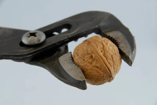 Braune Nüsse Walnüsse Snack — Stockfoto