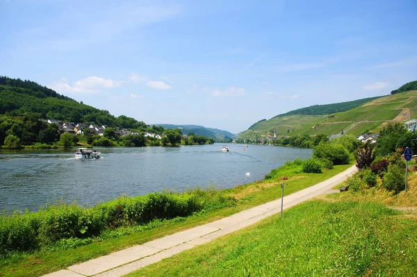 Mosel Zell Merl Sommer — Stockfoto