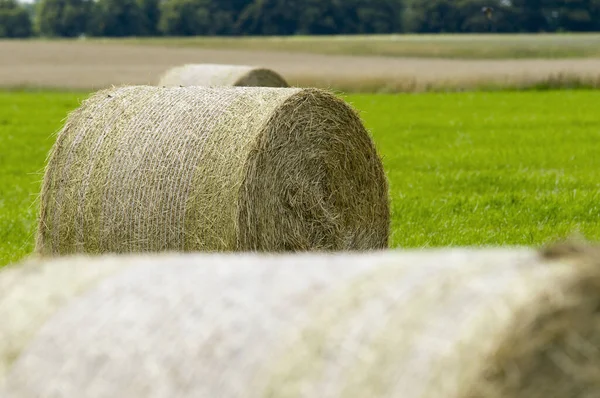 ブランデンブルク ドイツの収穫地に転がる形のわらの俵 — ストック写真
