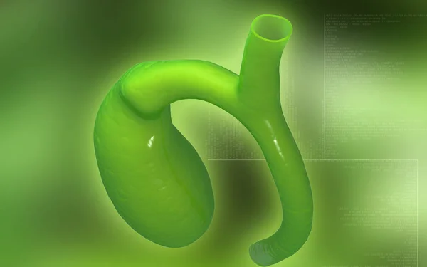 Renkli Arka Planda Pankreasın Dijital Illüstrasyonu — Stok fotoğraf