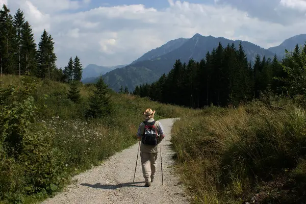 Vista Panoramica Maestosi Paesaggi Alpini — Foto Stock