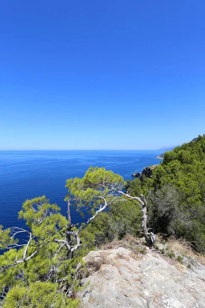 Costa Oeste Mallorca — Foto de Stock