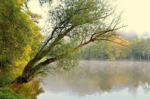 Пізно Влітку Вранці Березі Озера — стокове фото