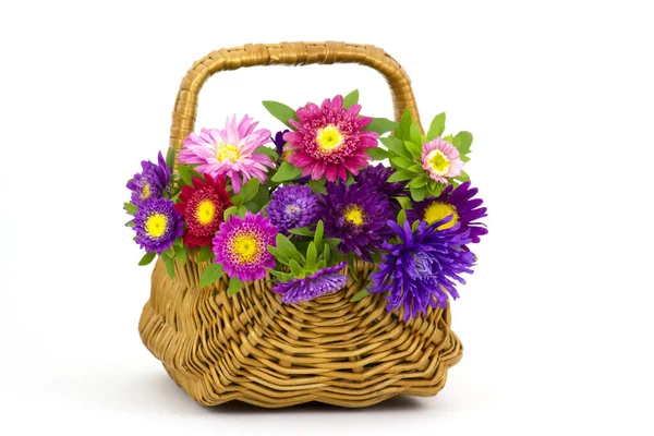 Strauß Bunter Astern Blumen Einem Korb Auf Weißem Hintergrund — Stockfoto