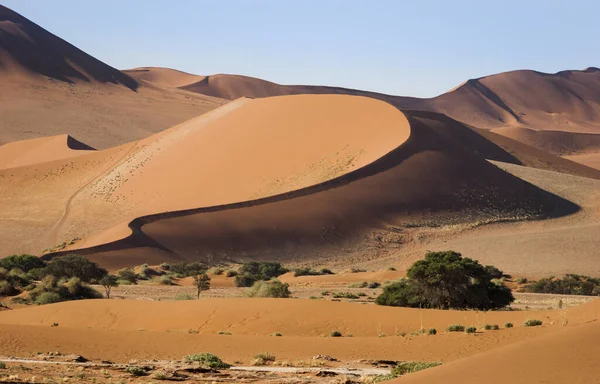 Dunas Namib Naukluft National Park Namíbia África Sul — Fotografia de Stock