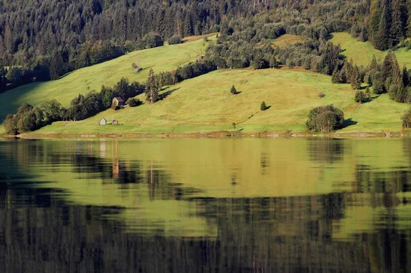 Visão Panorâmica Agricultura Foco Seletivo — Fotografia de Stock