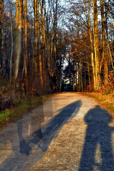 Vacker Utsikt Över Naturen — Stockfoto