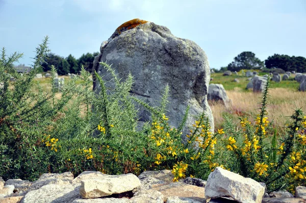 Keltische Graven Bij Carnac — Stockfoto