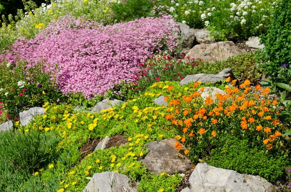 春天的岩石花园 — 图库照片