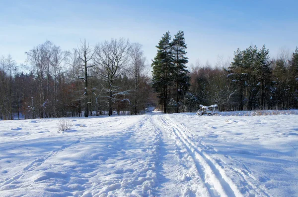 Straight Way Winter Landscape — Stock Photo, Image