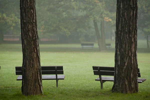 Nebbia Nel Parco — Foto Stock