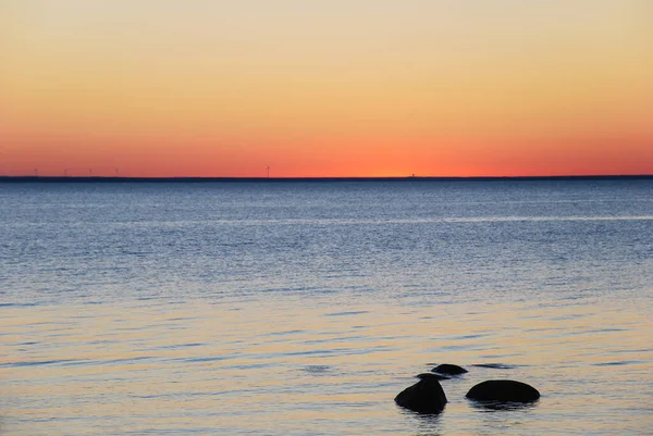 Vista Mar Atardecer Por Costa Del Mar Báltico Isla Sueca — Foto de Stock