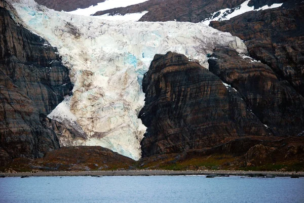 Glaciar Fusión Colonia Pingüinos Georgia Meridional — Foto de Stock