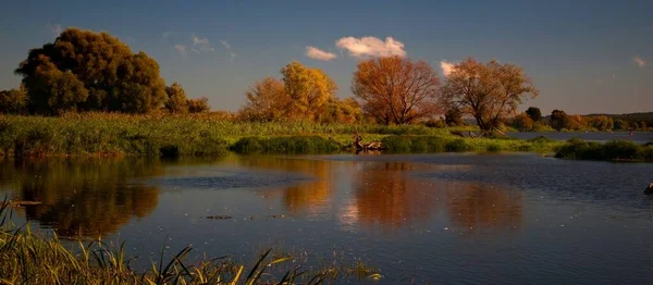 Herfstsfeer Selectieve Focus — Stockfoto