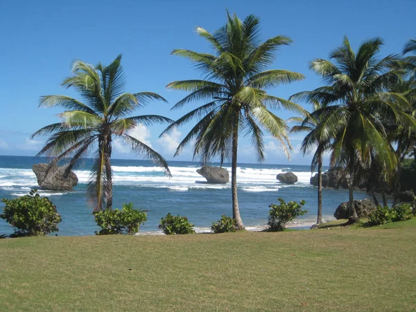 Karibik Curacao Willemstad Auf Den Abc Inseln — Stockfoto