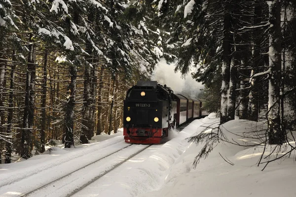 Brocken Schnee Und Eis Inverno Harz Harz Narrow Gauge Treno — Foto Stock
