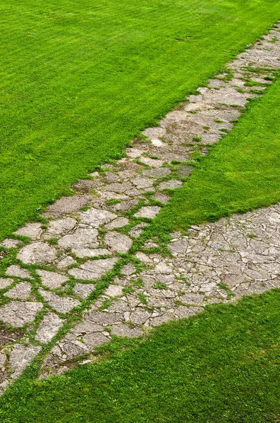 Stone Path Green Lawn — Stock Photo, Image